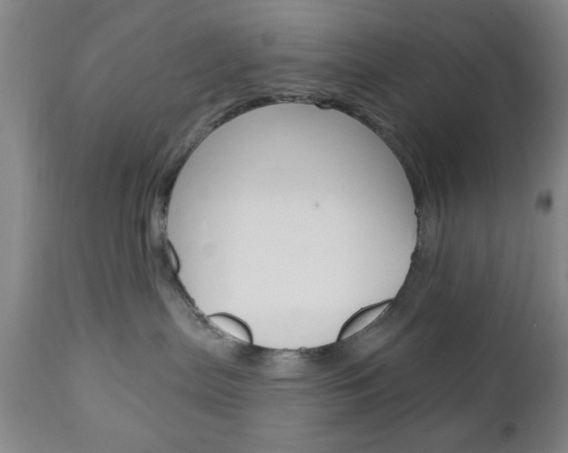 X0000111170287200907011016