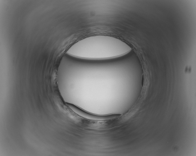 X0000111170288200907011016