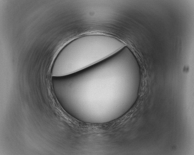 X0000111170289200907011015