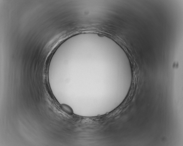 X0000111170290200907011015