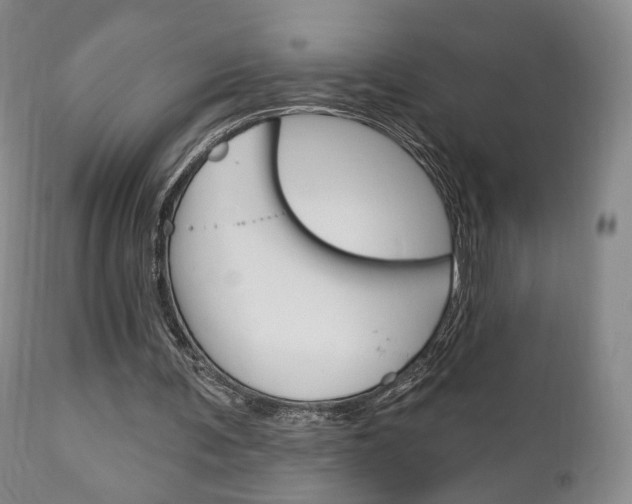 X0000111170291200907011015