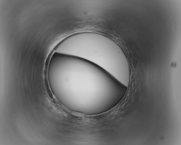 X0000111170292200907011015