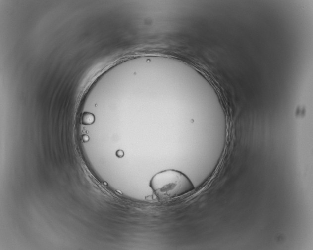 X0000111170293200907011015