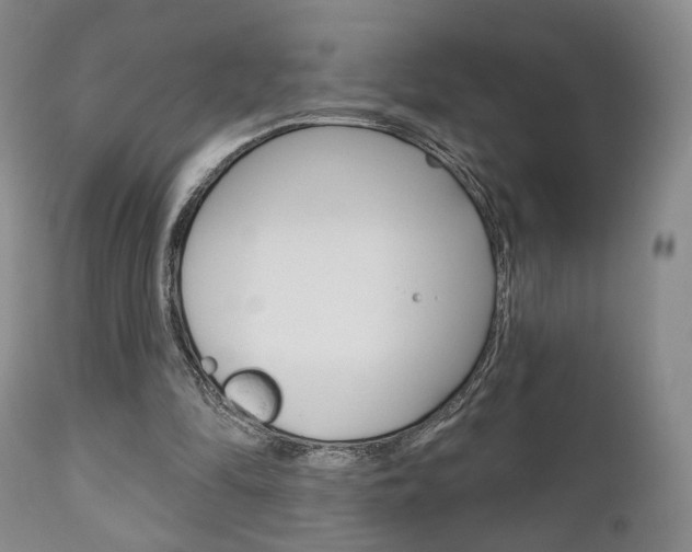 X0000111170294200907011015