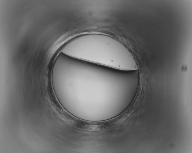 X0000111170295200907011015