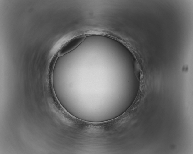 X0000111170296200907011015