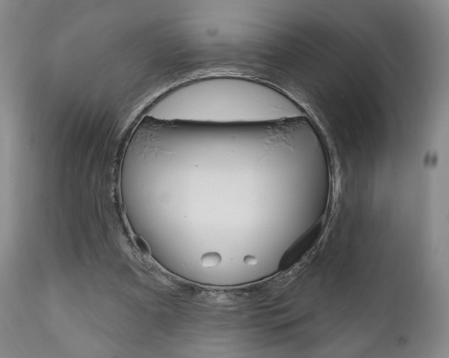 X0000111170297200907011015