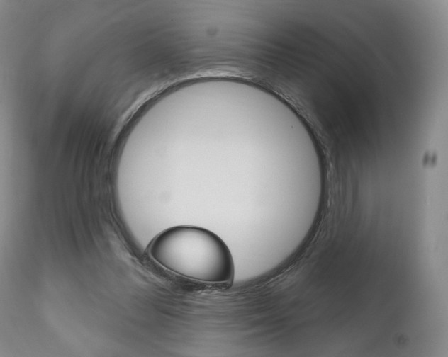 X0000111170300200907011014