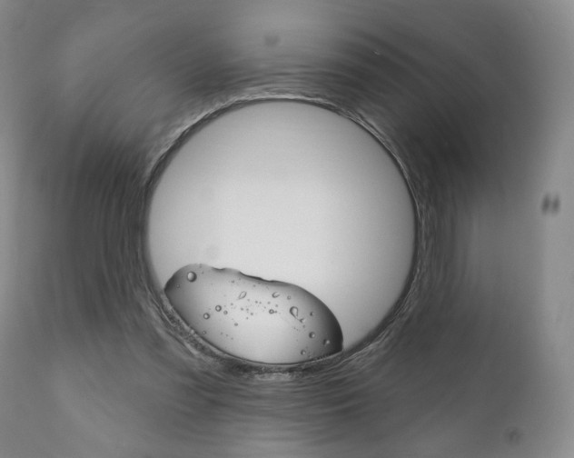 X0000111170301200907011014