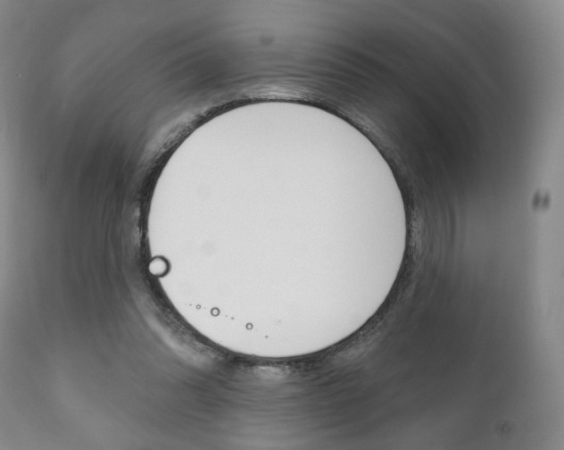 X0000111170302200907011014