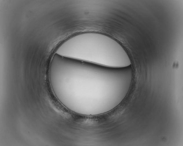 X0000111170303200907011014