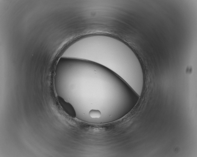 X0000111170304200907011014