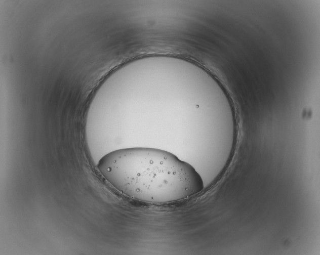 X0000111170305200907011014