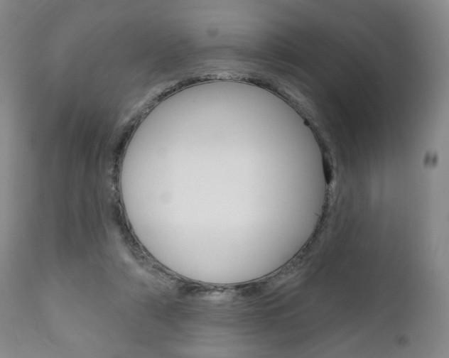 X0000111170306200907011014