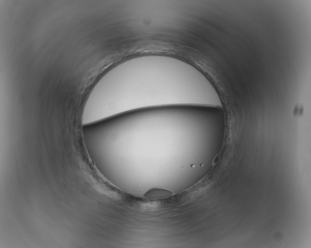 X0000111170309200907011014