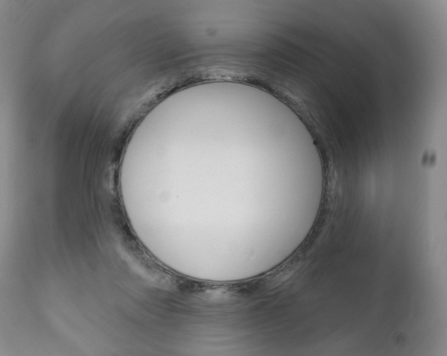 X0000111170310200907011014