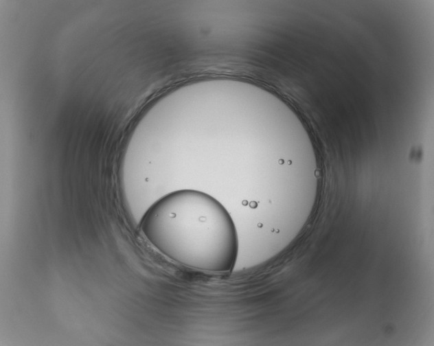 X0000111170312200907011014