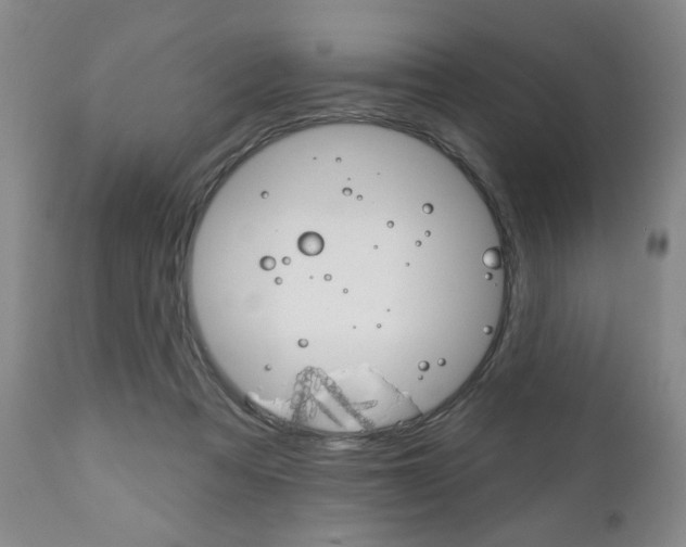 X0000111170313200907011014