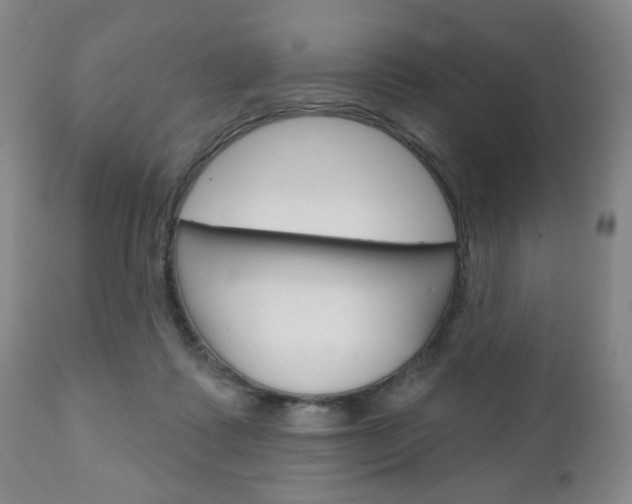 X0000111170315200907011014