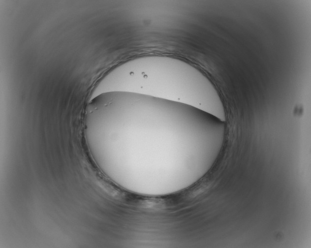 X0000111170317200907011014