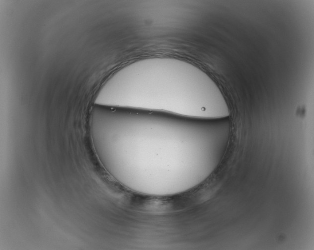 X0000111170319200907011014