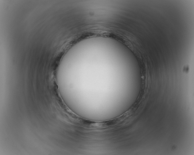 X0000111170320200907011014