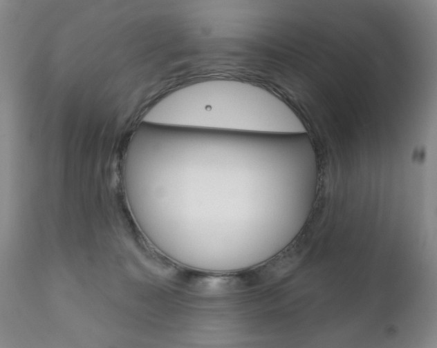 X0000111170323200907011014