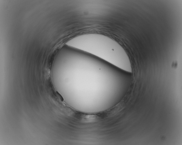 X0000111170324200907011014