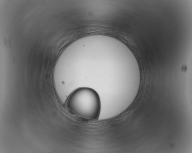 X0000111170325200907011014