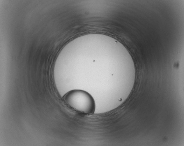 X0000111170327200907011014