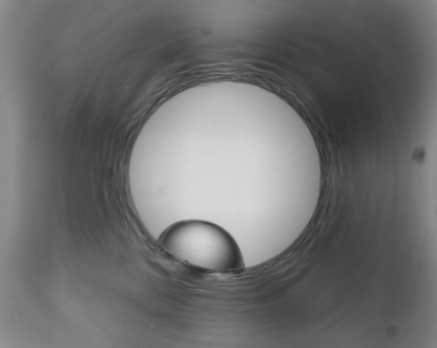 X0000111170328200907011014