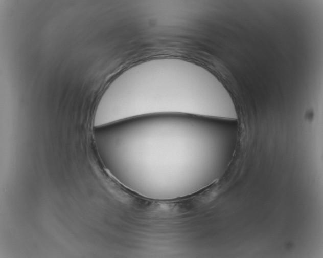 X0000111170329200907011014