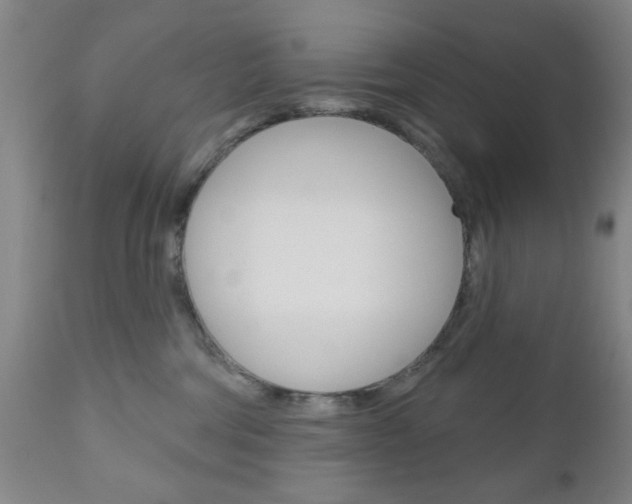 X0000111170330200907011014