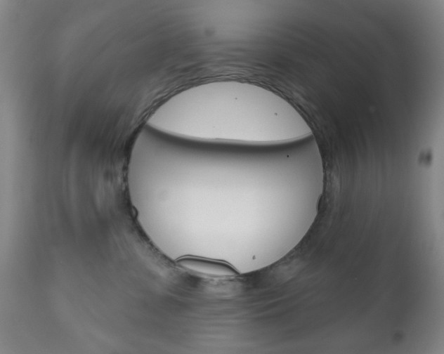 X0000111170331200907011014