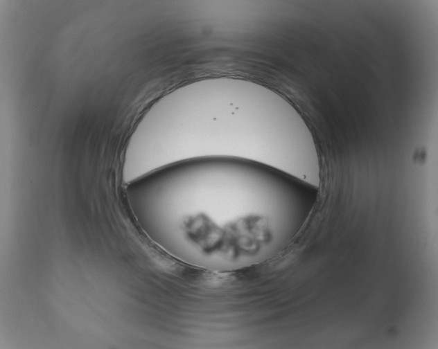 X0000111170333200907011014