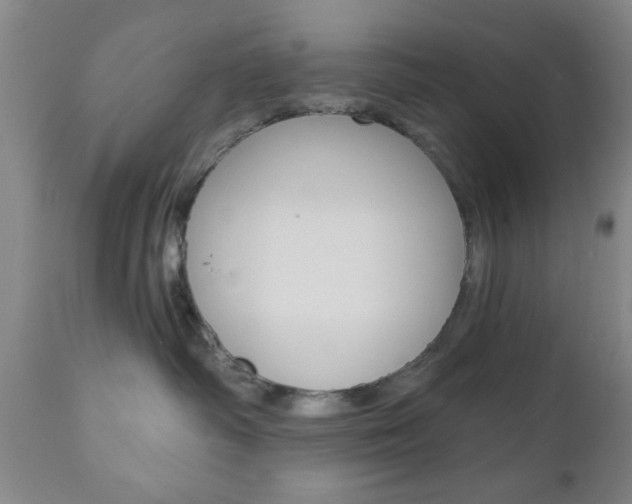 X0000111170334200907011014