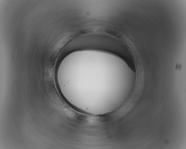 X0000111170336200907011014