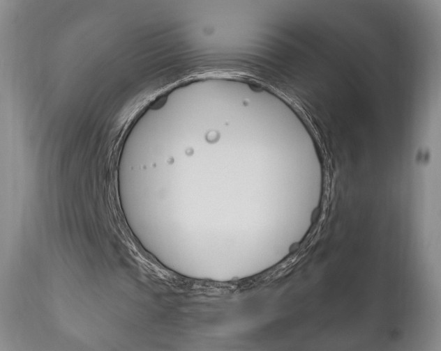 X0000111170337200907011013
