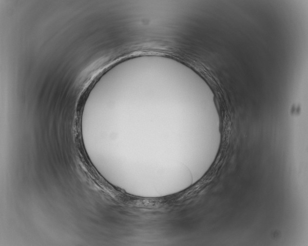 X0000111170338200907011013