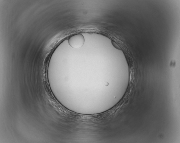 X0000111170339200907011013