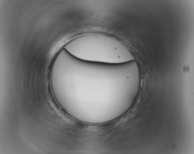 X0000111170341200907011013