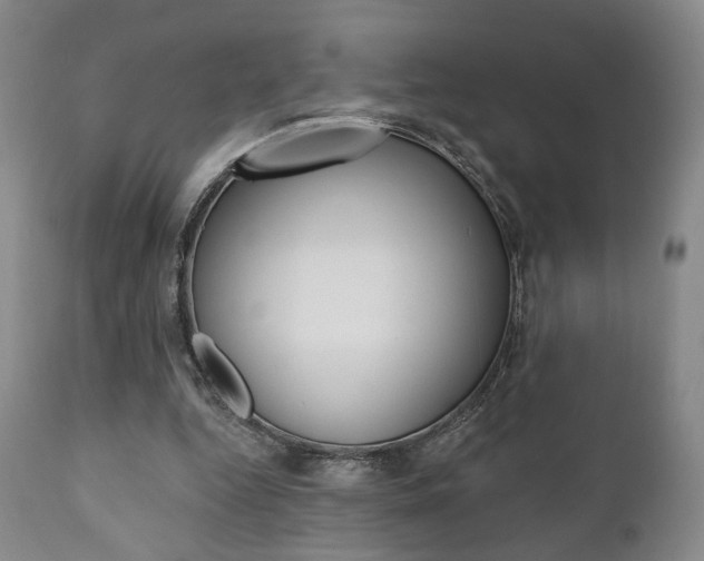 X0000111170344200907011013
