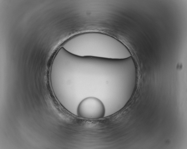X0000111170346200907011013