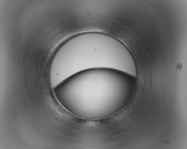 X0000111170350200907011013