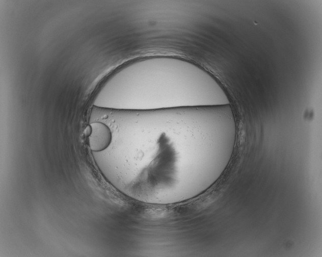 X0000111170351200907011014