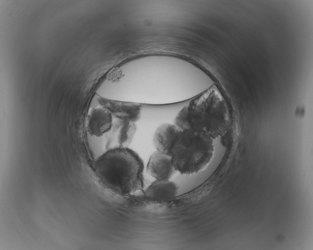 X0000111170353200907011014