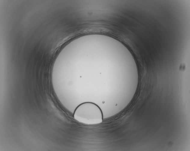 X0000111170356200907011014