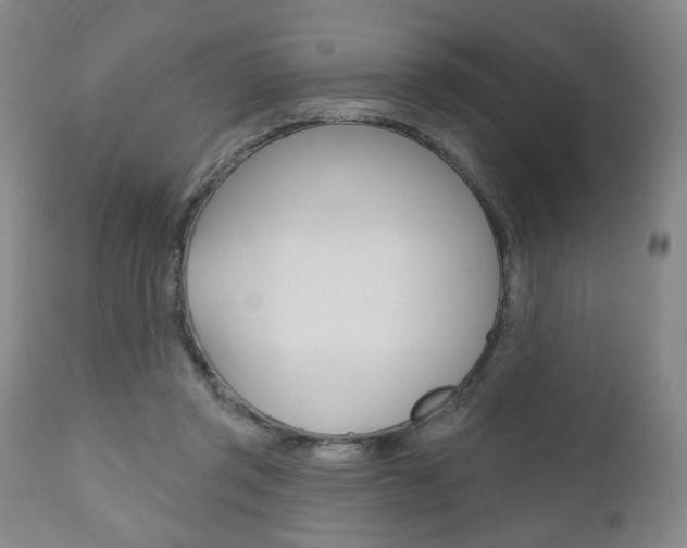 X0000111170357200907011014