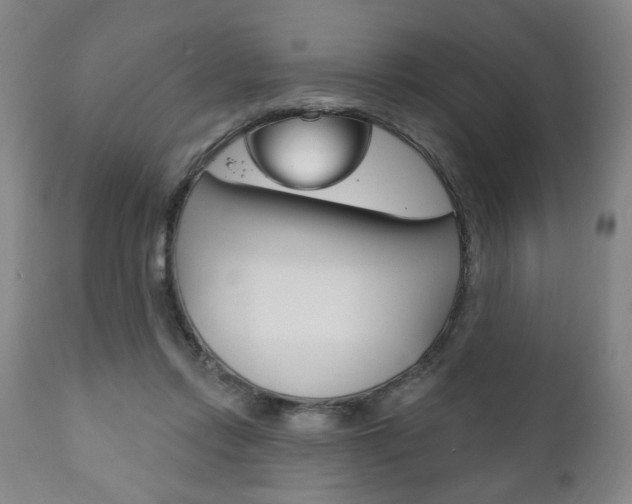 X0000111170358200907011014