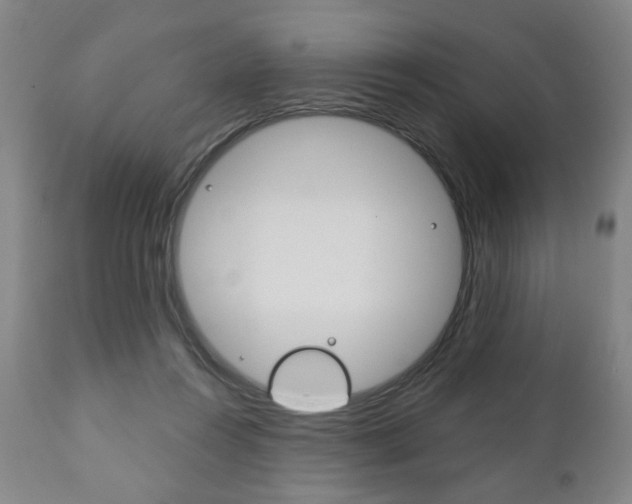 X0000111170360200907011014